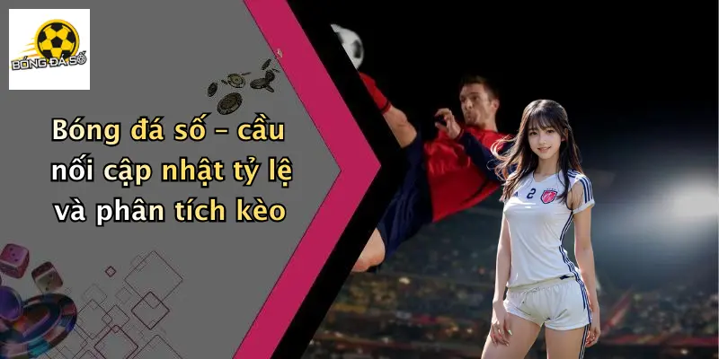 Bóng đá số – cầu nối cập nhật tỷ lệ và phân tích kèo