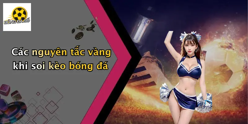 Các nguyên tắc vàng khi soi kèo bóng đá
