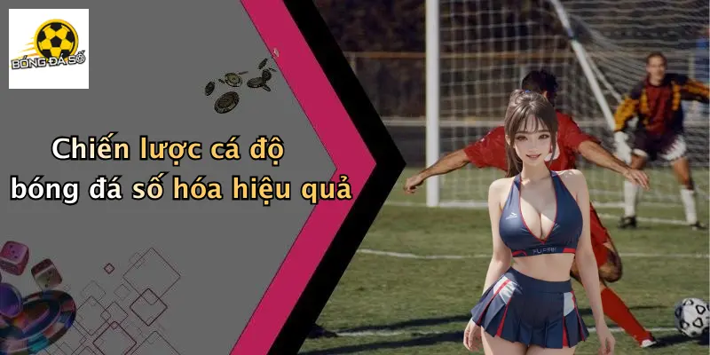 Chiến lược cá độ bóng đá số hóa hiệu quả