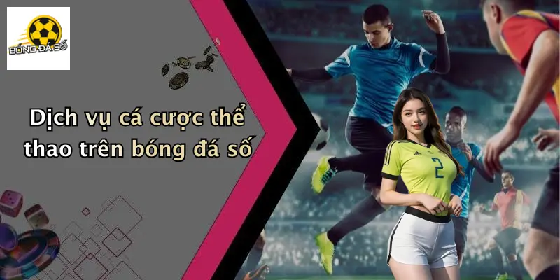 Dịch vụ cá cược thể thao trên bóng đá số