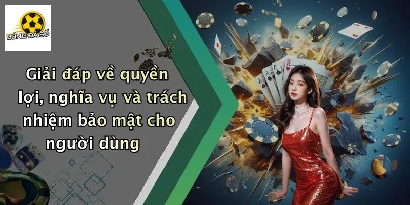 Giải đáp về quyền lợi, nghĩa vụ và trách nhiệm bảo mật cho người dùng