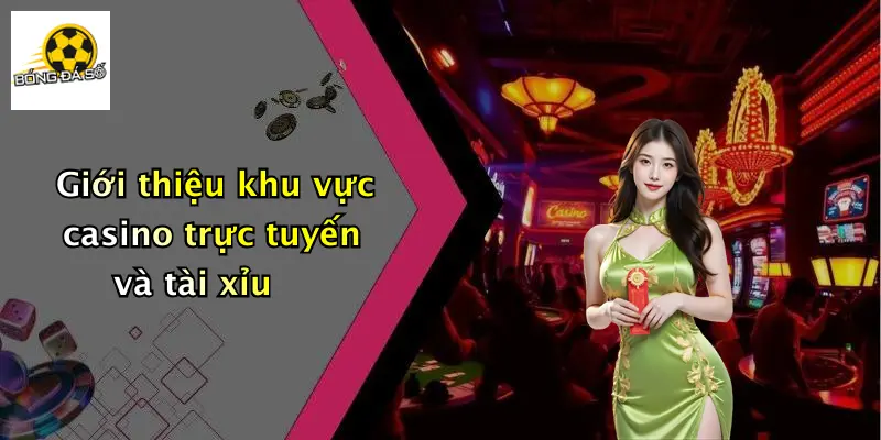Giới thiệu khu vực casino trực tuyến và tài xỉu