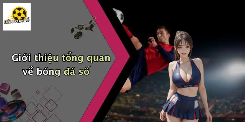 Giới thiệu tổng quan về bóng đá số