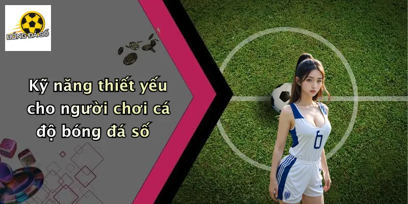 Kỹ năng thiết yếu cho người chơi cá độ bóng đá số