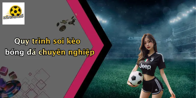 Quy trình soi kèo bóng đá chuyên nghiệp
