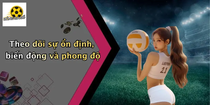 Theo dõi sự ổn định, biến động và phong độ
