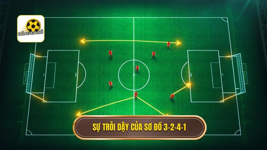 Nguồn gốc và sự trỗi dậy của chiến thuật bóng đá 3-2-4-1