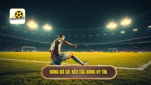Kèo cược tổng số lần tắc bóng thành công: Cẩm nang soi kèo chi tiết